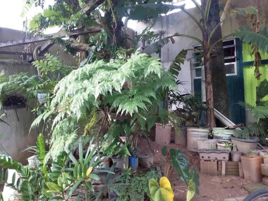 El Caleuche Hostel Rio das Ostras Ngoại thất bức ảnh